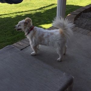 Meet your Posher, Kathy